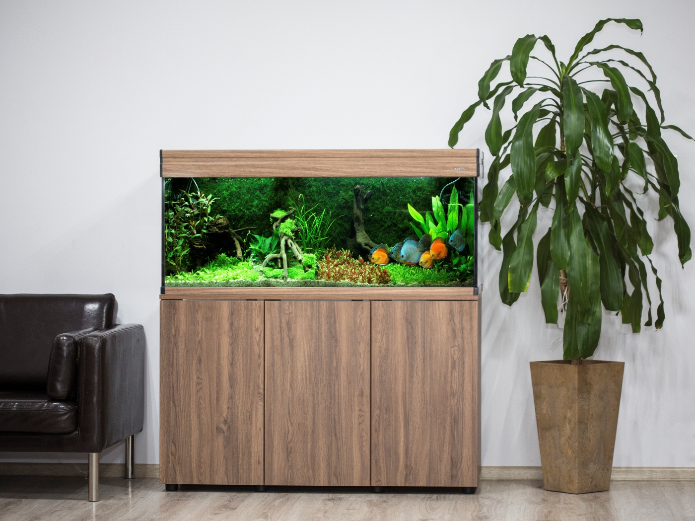 aquael akvaario olohuoneessa kuva