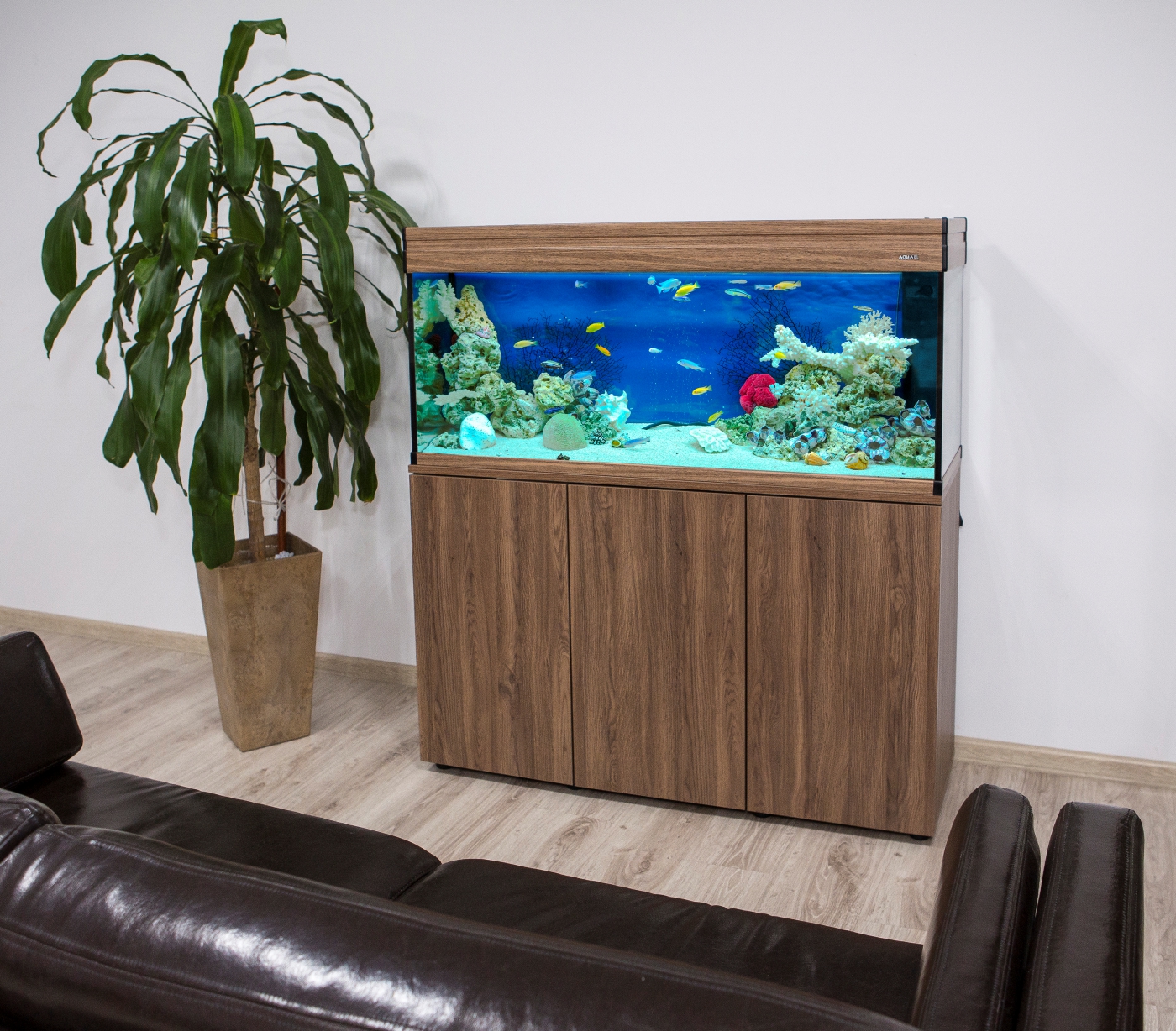 merivesiakvaario kuva