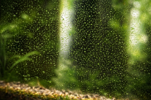 Pistelevää akvaarion lasissa