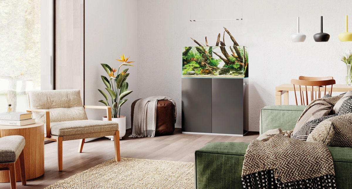 Akvaario olohuoneessa kaapistolla kuva