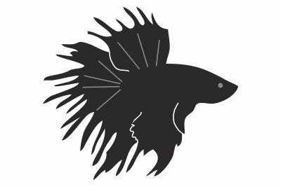 Taistelukala crowntail