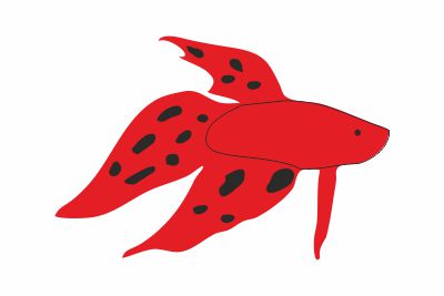 Taistelukala dalmatian