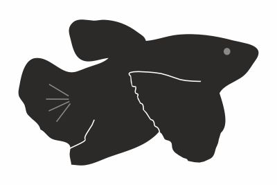 Taistelukala dumbo