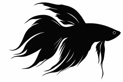 Veiltail – huntupyrstö