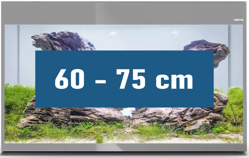 Altaan leveys 60–75 cm