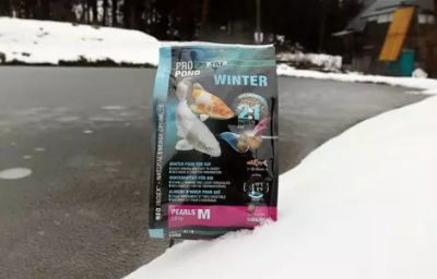 lammikon talviruokaa.jpg
