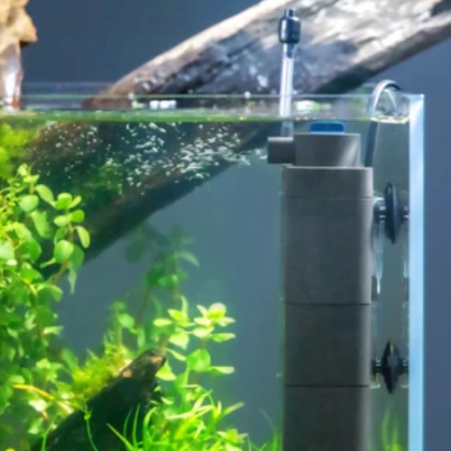 sisäsuodatin akvaarion sisällä kuva