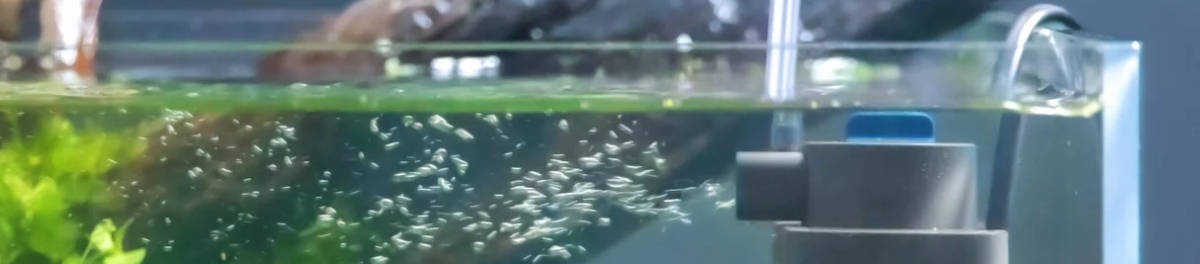 sisasuodatin veden alla bannerikuva