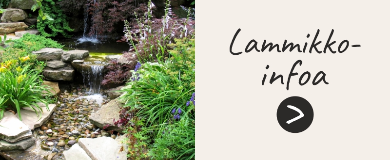 Lammikoista tietoa banneri