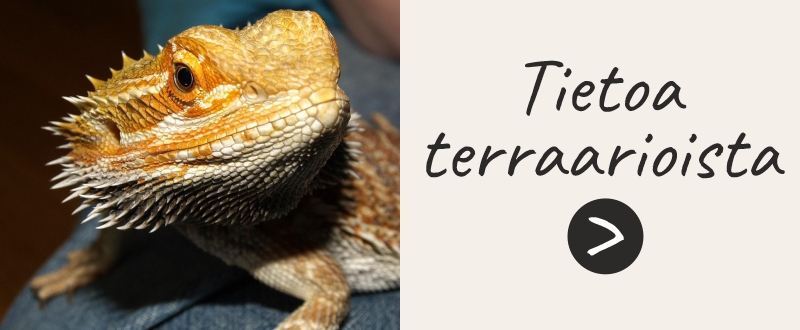 Terraariotietoa banneri