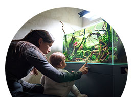 Akvaariot ja tekniikka ryhmään