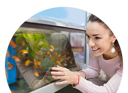 Akvaariotarvikkeet ryhmään