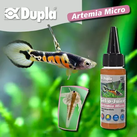Duplarin Gel-o-juice Artemia micro 50ml - Geeliruoat kaloille - D79960 - 2