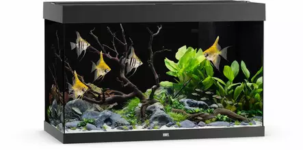 Juwel Rio 290 Led Musta - 101-200 litraiset akvaariopaketit  - 107.1290 - 1