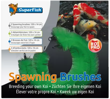 Kelluvat kutuharjat lampeen. - Käsittelyastiat ja haavit - A08060660 - 1