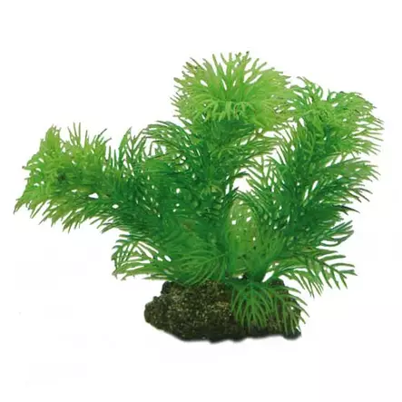 Muovikasvi Egeria 13Cm - Muovikasvit akvaarioon - D41510 - 1