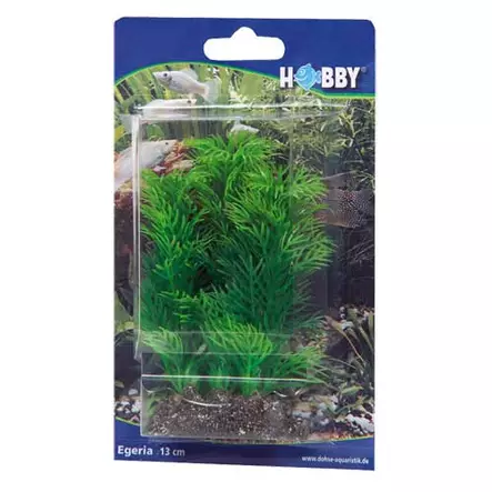 Muovikasvi Egeria 13Cm - Muovikasvit akvaarioon - D41510 - 2