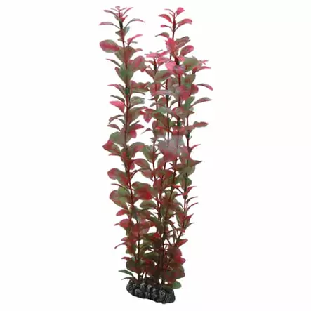 Muovikasvi Ludwigia 34Cm - Muovikasvit akvaarioon - D41520 - 1