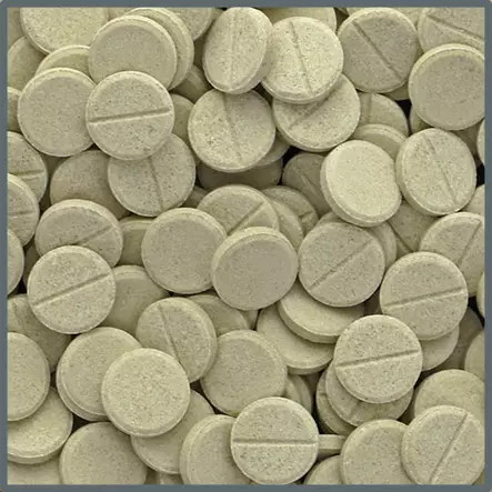 Plant Basic 10 Tablettia - Pohjalannoiteet kasveille - D80300 - 2