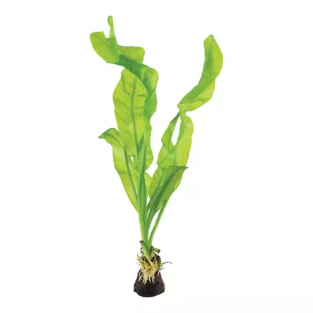 Poimuverkkolehti Ruukku - Akvaarion taka-alan kasvit - 80740 - 1