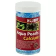 Aqua Pearls Geelivesi Mineraalilisällä 170G - Vitamiinit & geelivedet terraarioon - D38060 - 1