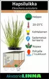Hapsiluikka Ruukku - Akvaarion keskialan kasvit - 81520 - 7