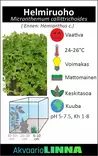 Helmiruoho Ruukku - Akvaarion etualan kasvit - 81610 - 4