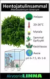 Hentojatulinsammal Vitrokupissa - Akvaarion sammalet - 80200 - 6