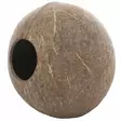 Kookosluola Kokonainen 12X13X13Cm - Kivijäljitelmät ja luolat akvaarioon - D40220 - 2