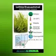 Lehtoritvasammal Vitrokupissa (Amblystegium serpens) – Stringy Moss - Akvaarion sammalet - 87460 - 2