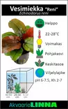 Miekka Reni Ruukku - Akvaarion keskialan kasvit - 87400 - 4
