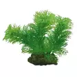 Muovikasvi Egeria 13Cm - Muovikasvit akvaarioon - D41510 - 1
