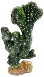 Muovikasvi Kaktus Victoria M 13X8X22Cm - Muovikasvit jalalla - D37020 - 3