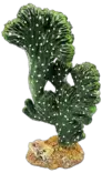 Muovikasvi Kaktus Victoria M 13X8X22Cm - Muovikasvit jalalla - D37020 - 5