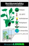 Neidonmiekka Ruukku - Akvaarion taka-alan kasvit - 81180 - 7
