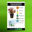 Papukaijalehti Terrakotta - Akvaarion keskialan kasvit - 83280 - 3