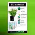 Pikkurasvalehti - Akvaarion etualan kasvit - 80760 - 8