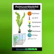 Poimuverkkolehti Ruukku - Akvaarion taka-alan kasvit - 80740 - 7