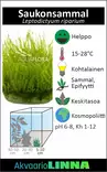 Saukonsammal Vitrokupissa - Akvaarion sammalet - 89120 - 3