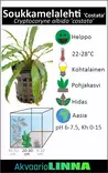 Soukka/Vitamelalehti Ruukku - Akvaarion keskialan kasvit - 80960 - 2