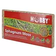 Sphagnum Sammal Puriste 100G - Puristeet ja sammalet terraarioon - D34170 - 1