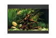 Styleline 125 Akvaario Musta - 101-200 litraiset akvaariopaketit  - O73330 - 4