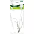 Tillandsia butzii - Ilmakasvit terraarioon - PT205470 - 2