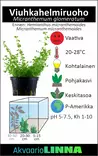 Viuhkahelmiruoho Vitrokupissa - Akvaarion etualan kasvit - 87560 - 7