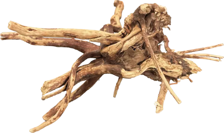 Pieni moorapuu 10 - 15 cm BioArt - Juurakot ja puut akvaarioon - A4056250 - 1