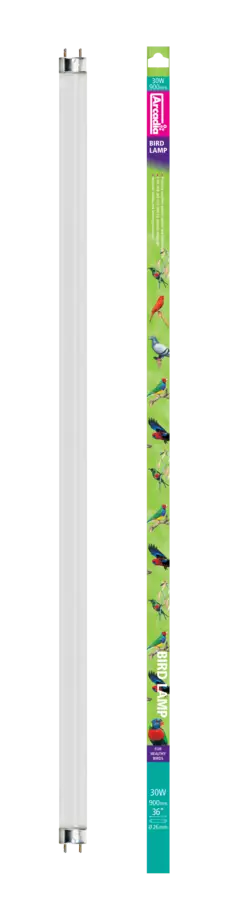 Arcadia Bird Lamp 2.4% T8 Uvb Lamp 90 Cm 30 W - T8 Loisteputket terraarioon - AR2100030 - 1