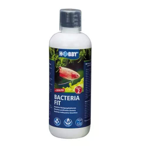 Bacteria Fit 250 Ml Bakteeritiiviste - Kypsytysaineet ja bakteeritiivisteet - D51140 - 1
