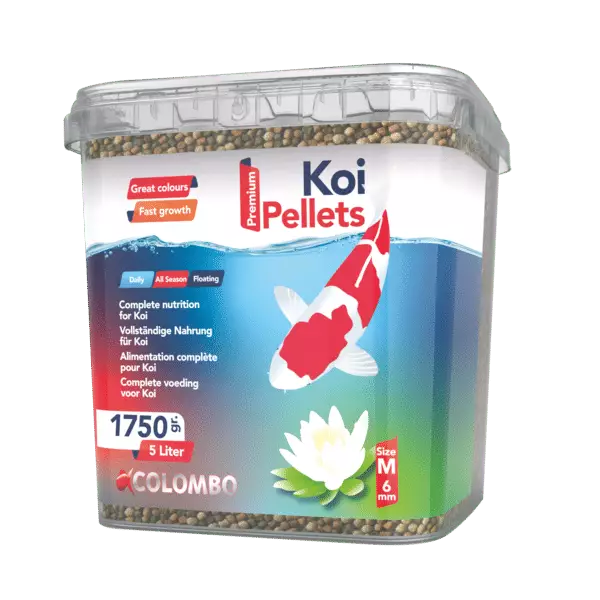Colombo Koi pellets M 5L - Lampikalojen ruoat - A3050780 - 1