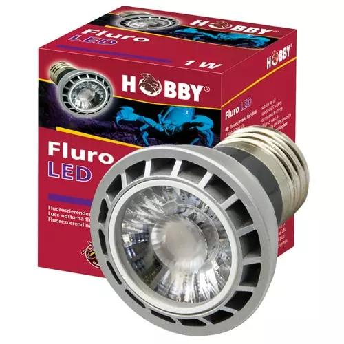 Fluorisoiva Lamppu Led 1W - LED Spottivalot - D37600 - 1