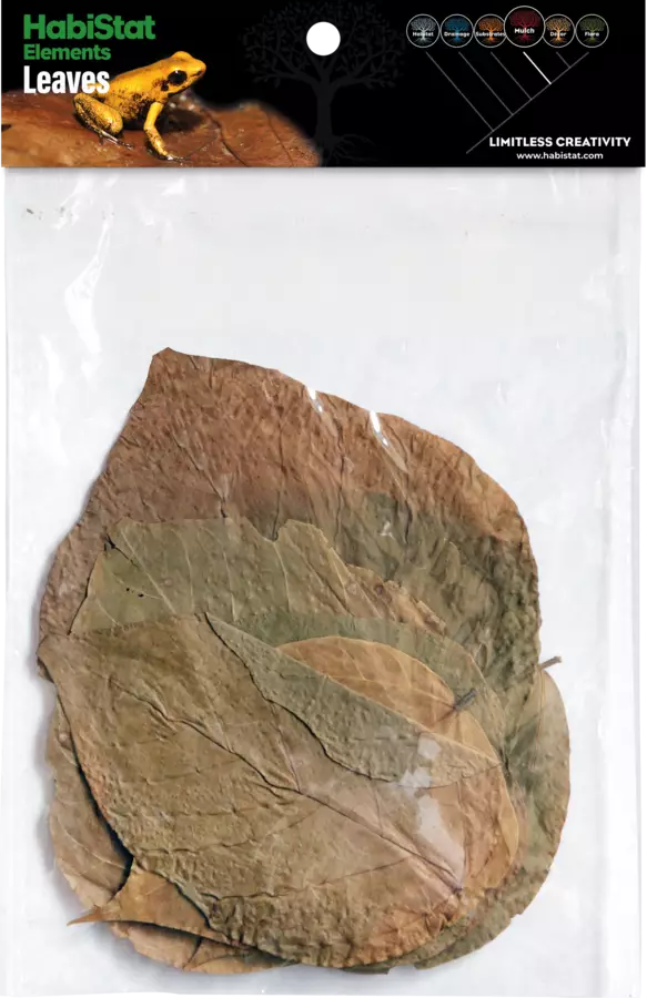 Habistat Dadap lehdet 10kpl - Lehdet - AR5100830 - 1